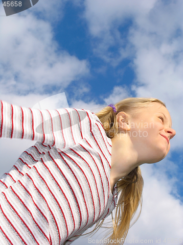 Image of Flight to the clouds