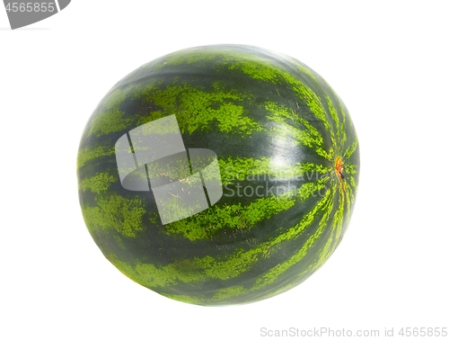 Image of Watermelon a white background