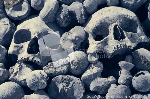 Image of Skulls and bones in a wall