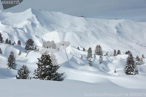 Image of Skiing slopes, majestic Alpine landscape with trees