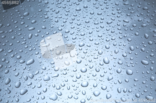 Image of Shiny Water Droplets
