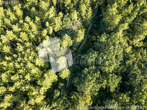 Image of Top view of a dirt road through a green forest on a sunny afternoon. Aerial view from the drone