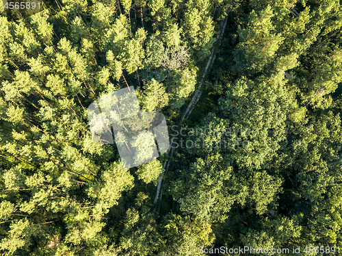 Image of Top view of a dirt road through a green forest on a sunny afternoon. Aerial view from the drone
