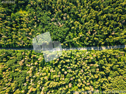 Image of Aerial view of a drone on a green forest with asphalt road on a sunny day. Natural layout for your ideas.