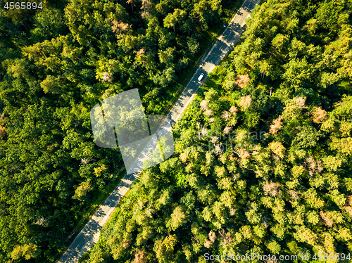 Image of The road with a passing car through the foliage of the forest on a sunny day. Aerial view of the drone as a natural layout