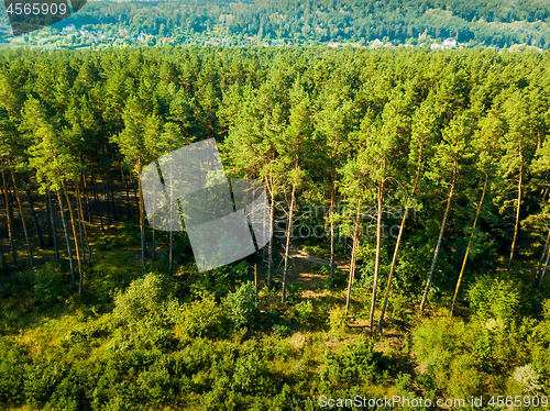 Image of Aerial view from the drone of a landscape view of the coniferous forest and the village in the distance.