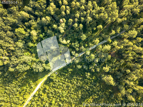 Image of Top view on a sunny summer day on a dirt road through the foliage of the forest. Natural background. Aerial view from the drone