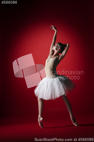 Image of Ballerina. Young graceful female ballet dancer dancing at red studioskill. Beauty of classic ballet.