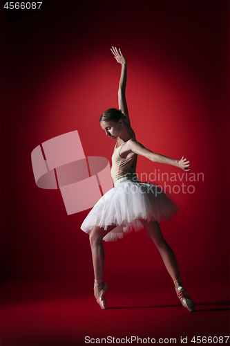 Image of Ballerina. Young graceful female ballet dancer dancing at red studioskill. Beauty of classic ballet.