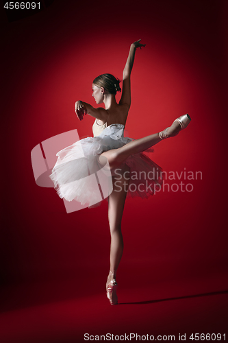 Image of Ballerina. Young graceful female ballet dancer dancing at red studioskill. Beauty of classic ballet.