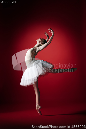 Image of Ballerina. Young graceful female ballet dancer dancing at red studioskill. Beauty of classic ballet.