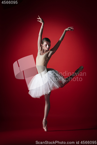 Image of Ballerina. Young graceful female ballet dancer dancing at red studioskill. Beauty of classic ballet.