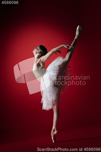 Image of Ballerina. Young graceful female ballet dancer dancing at red studioskill. Beauty of classic ballet.