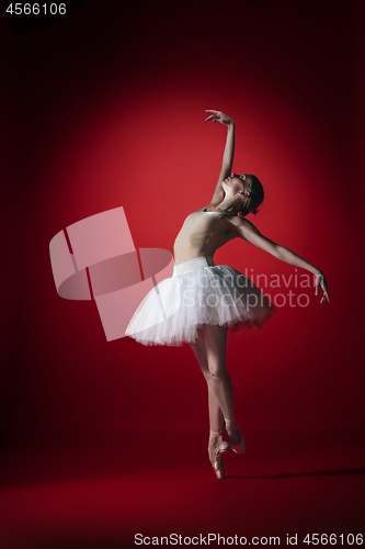 Image of Ballerina. Young graceful female ballet dancer dancing at red studioskill. Beauty of classic ballet.