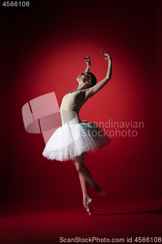 Image of Ballerina. Young graceful female ballet dancer dancing at red studioskill. Beauty of classic ballet.