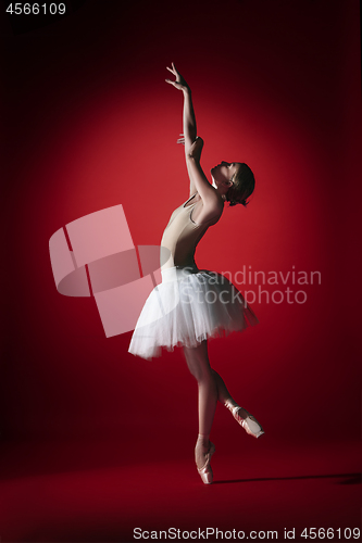 Image of Ballerina. Young graceful female ballet dancer dancing at red studioskill. Beauty of classic ballet.