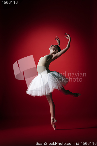 Image of Ballerina. Young graceful female ballet dancer dancing at red studioskill. Beauty of classic ballet.