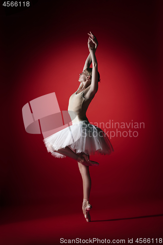 Image of Ballerina. Young graceful female ballet dancer dancing at red studioskill. Beauty of classic ballet.