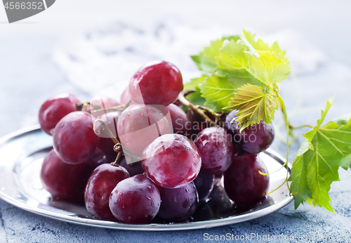 Image of fresh grape