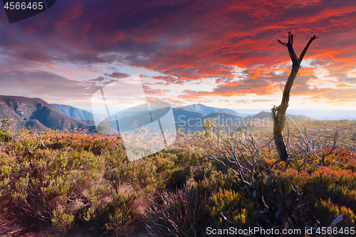 Image of Scenic Mountain landscape