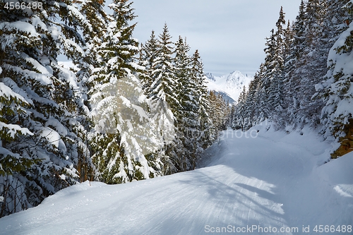 Image of Skiing slopes from the top