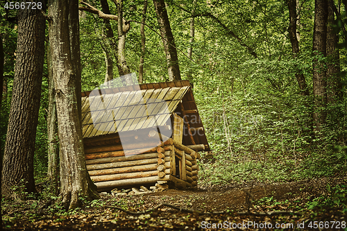 Image of Small Barn in the Forest