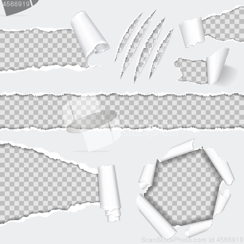 Image of Realistic Seamless Torn Paper and Scratch Claws