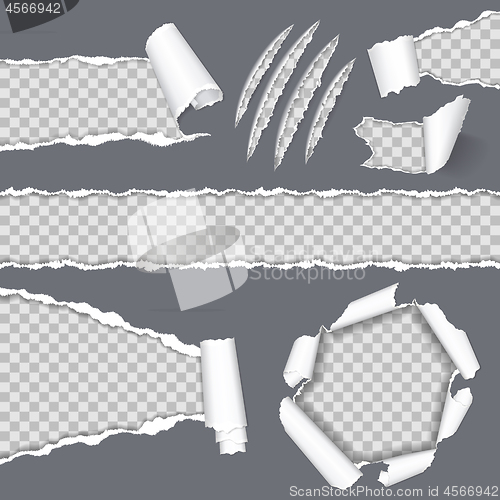 Image of Realistic Seamless Torn Paper and Scratch Claws