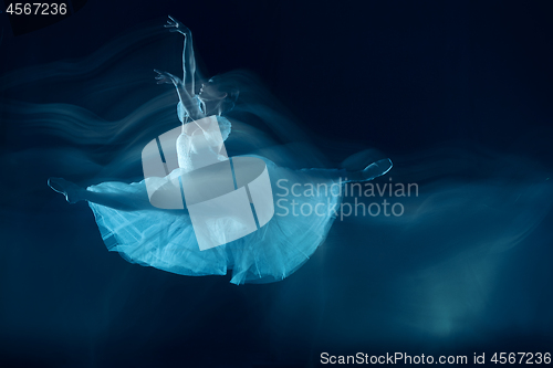 Image of photo as art - a sensual and emotional dance of beautiful ballerina through the veil