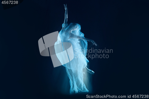 Image of photo as art - a sensual and emotional dance of beautiful ballerina through the veil