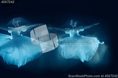 Image of photo as art - a sensual and emotional dance of beautiful ballerina through the veil