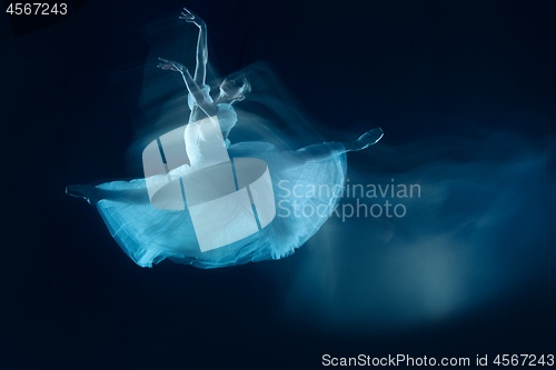 Image of photo as art - a sensual and emotional dance of beautiful ballerina through the veil