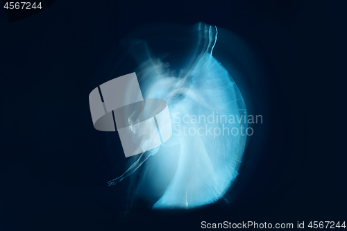 Image of photo as art - a sensual and emotional dance of beautiful ballerina through the veil