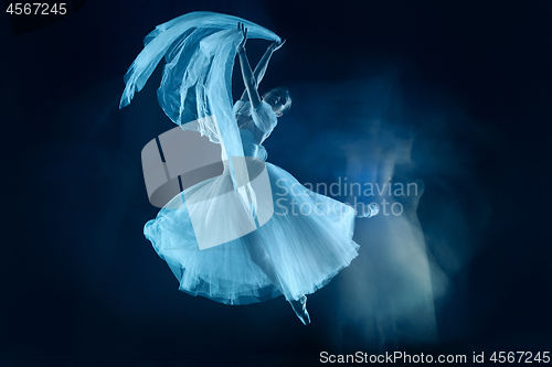 Image of photo as art - a sensual and emotional dance of beautiful ballerina through the veil