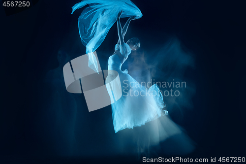 Image of photo as art - a sensual and emotional dance of beautiful ballerina through the veil