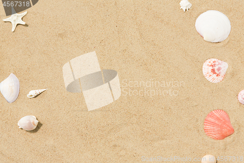 Image of seashells on beach sand