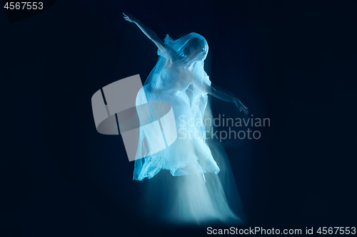 Image of photo as art - a sensual and emotional dance of beautiful ballerina through the veil