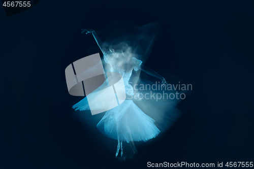 Image of photo as art - a sensual and emotional dance of beautiful ballerina through the veil