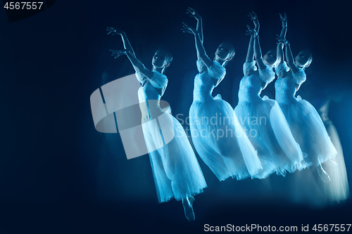 Image of photo as art - a sensual and emotional dance of beautiful ballerina through the veil