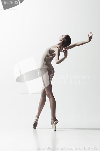 Image of Ballerina. Young graceful female ballet dancer dancing isolated on white. Beauty of classic ballet.