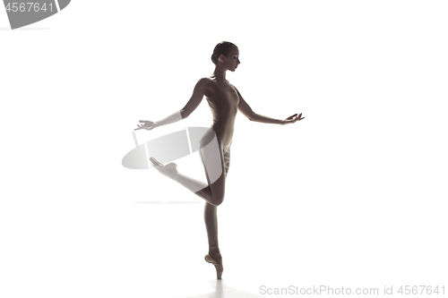 Image of Ballerina. Young graceful female ballet dancer dancing isolated on white. Beauty of classic ballet.