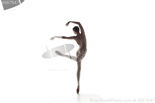 Image of Ballerina. Young graceful female ballet dancer dancing isolated on white. Beauty of classic ballet.