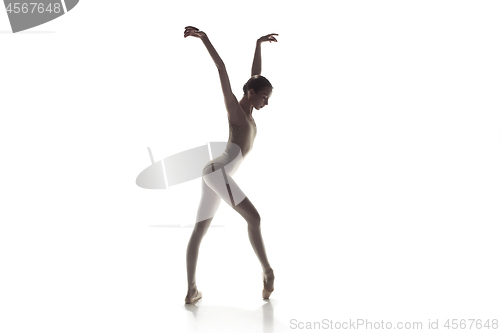 Image of Ballerina. Young graceful female ballet dancer dancing isolated on white. Beauty of classic ballet.