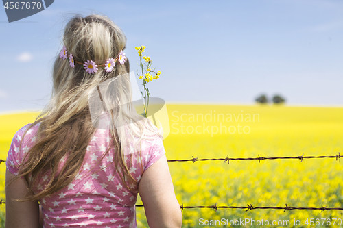 Image of Woman at barbed wire fence looking at canola field