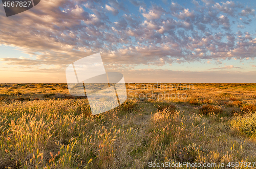 Image of Sunlight across the fiellds of Hay