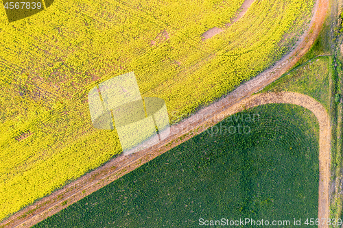 Image of Farming fields green and gold patterns