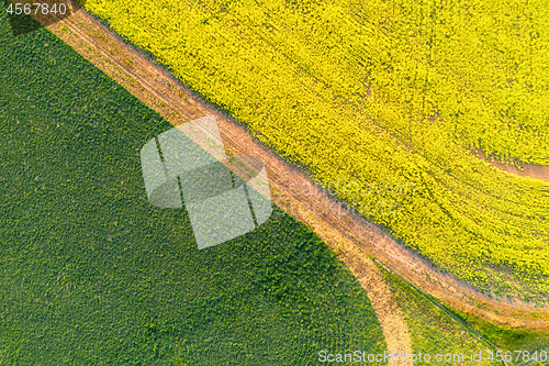 Image of Fields of green and gold background abstract