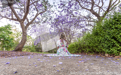 Image of Woman sitting under a canopy of purple flowers