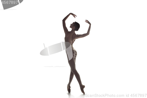 Image of Ballerina. Young graceful female ballet dancer dancing isolated on white. Beauty of classic ballet.