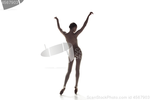 Image of Ballerina. Young graceful female ballet dancer dancing isolated on white. Beauty of classic ballet.